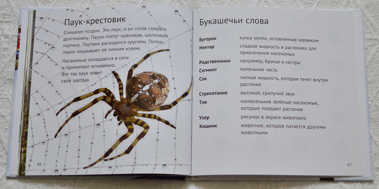 Эту книгу мы возьмем с собой на дачу - 2