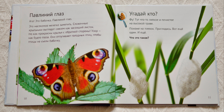 Эту книгу мы возьмем с собой на дачу - 2