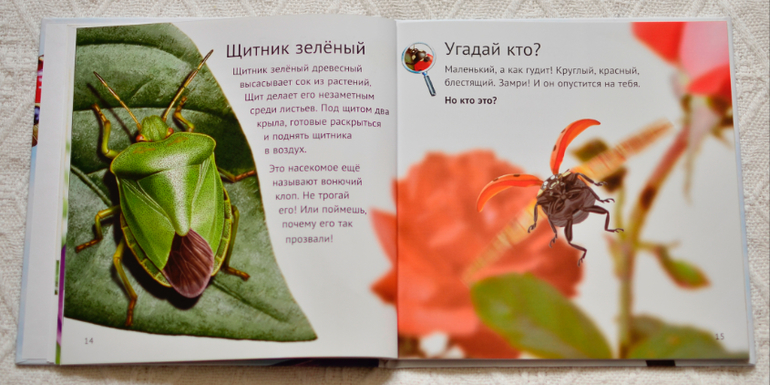 Эту книгу мы возьмем с собой на дачу - 2