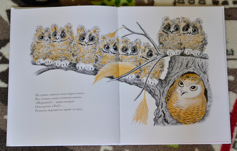 Луговая считалочка (Over in the meadow) с иллюстрациями Ф.Рожанковского