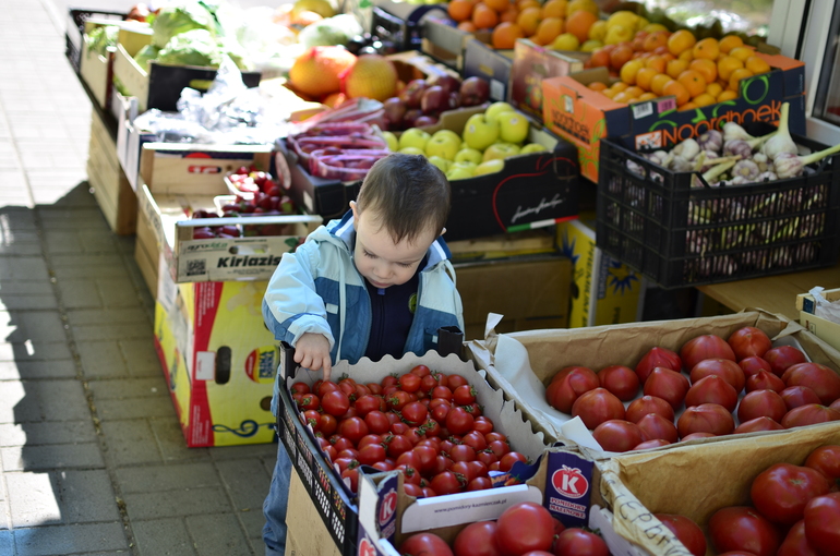 Как мы изучали овощи и фрукты