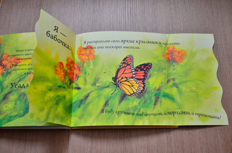 Кто вылупляется из яйца?