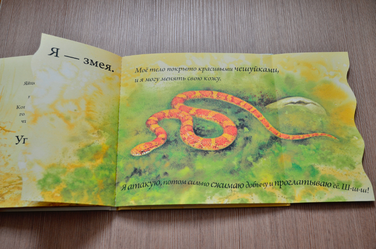 Кто вылупляется из яйца?