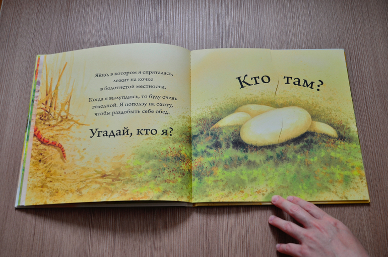 Кто вылупляется из яйца?