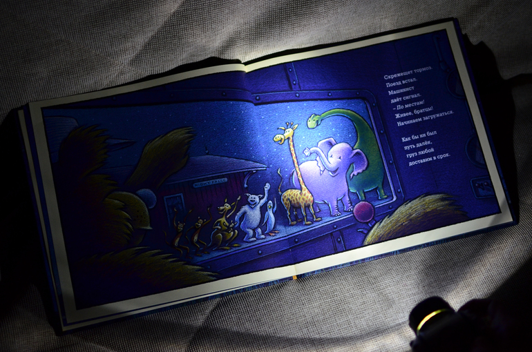 Книга и фонарик