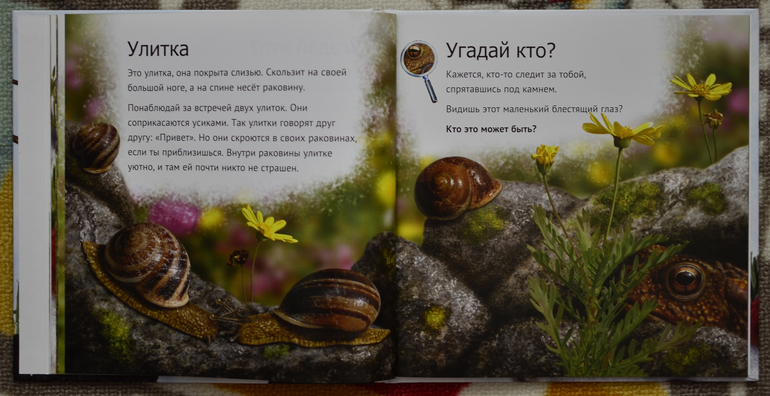 Эту книгу мы возьмем с собой на дачу!