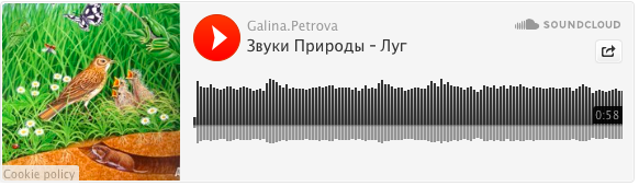 Звуки природы и виммельбухи