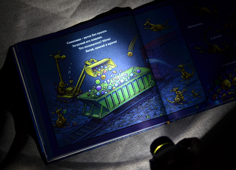 Книга и фонарик