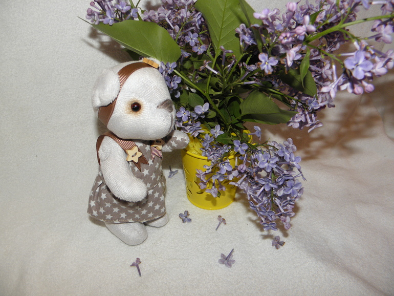 С неба звёздочка упала...