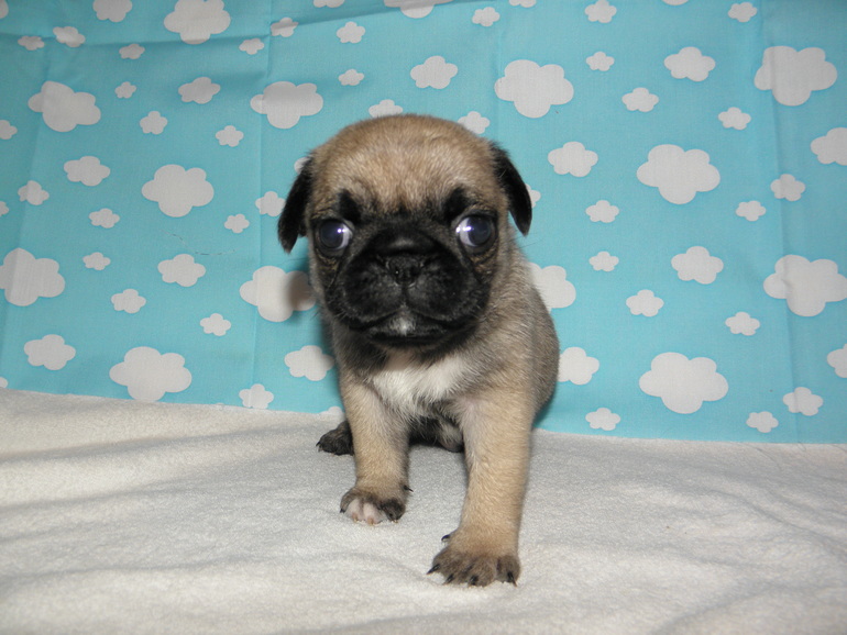 Вот нам уже и месяц)))