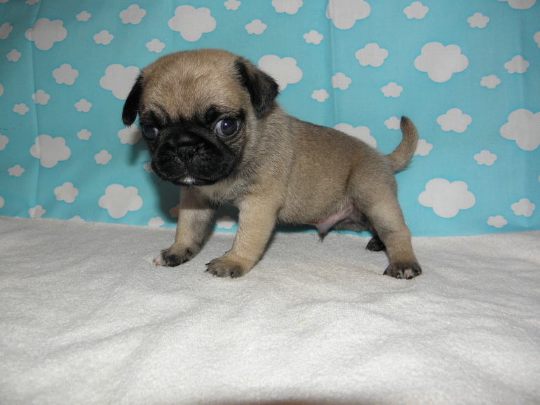 Вот нам уже и месяц)))