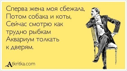 Еще немного позитива))) Ловите))))