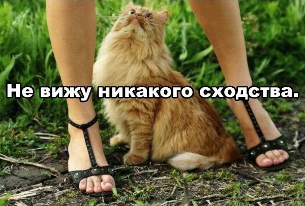 Много, много, много фото-приколов