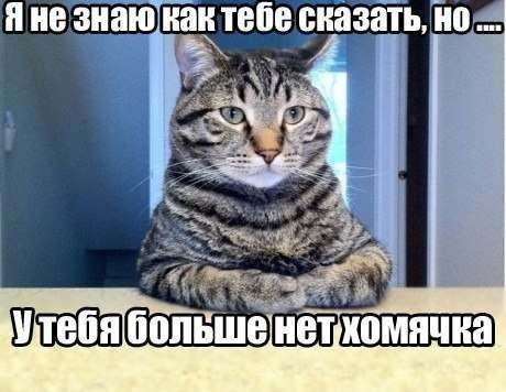 Много, много, много фото-приколов
