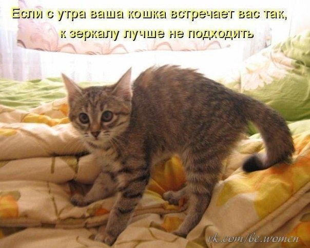 Много, много, много фото-приколов