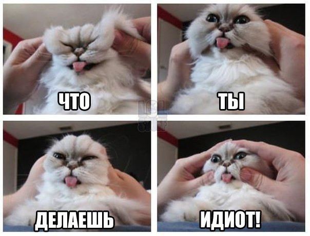 Много, много, много фото-приколов