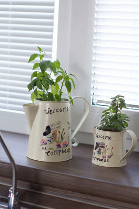 моя кухня цвета капуччино..