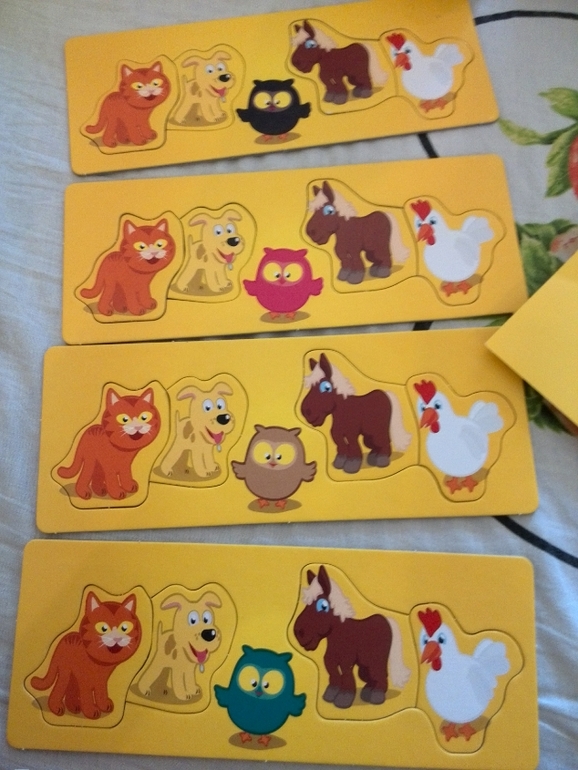 Игра Моя первая викторина от Tactic