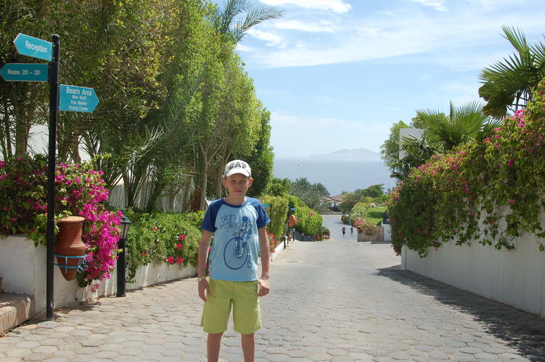 Отдых в Египте с двумя детьми (10 лет и 1,5 г.)