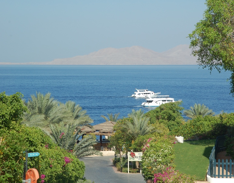 Отдых в Египте с двумя детьми (10 лет и 1,5 г.)