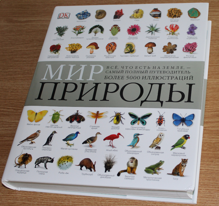 А ты первый кто подарил мне книге А ты первый кто подарил мне книге