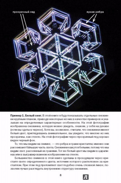 Кеннет Либбрехт: Снежинки. Тайная красота зимней природы.