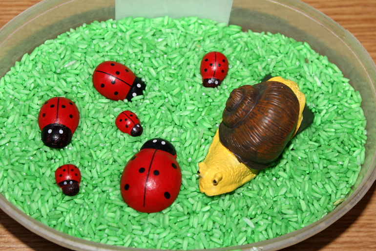 Третий день ТН