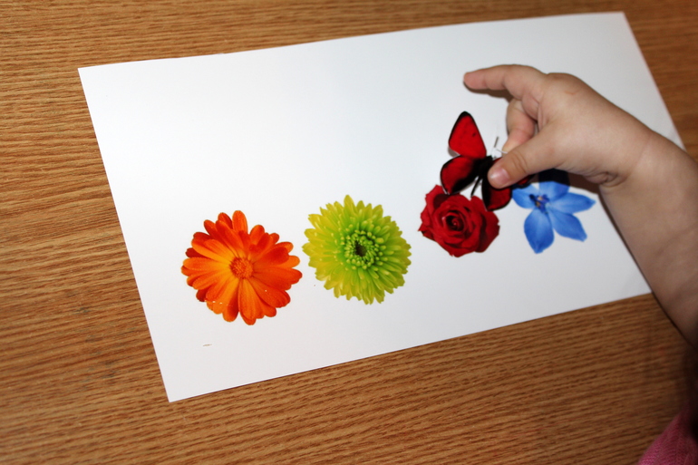 Второй день ТН