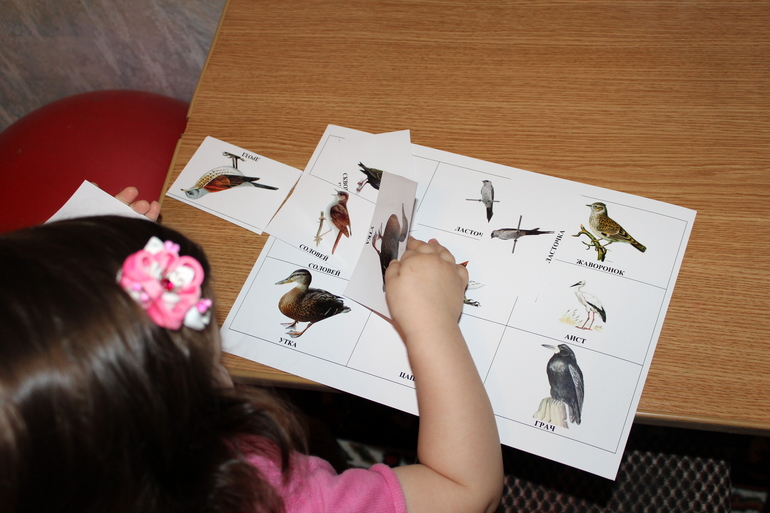 Второй день ТН