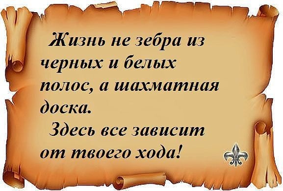 Понравилось!