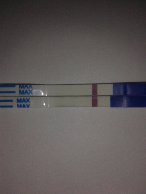 Тест Ева на 11 дпо