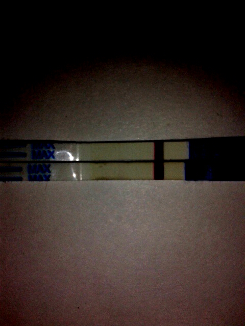 Тест Ева на 11 дпо