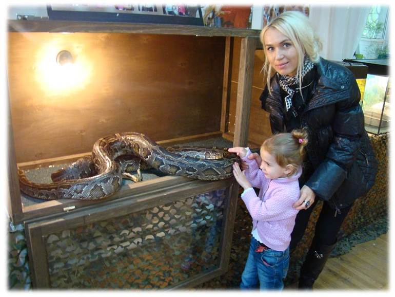 У рептилий...