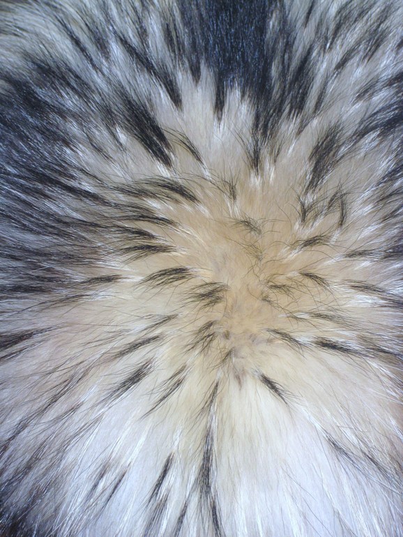 О мехе и меховых помпонах