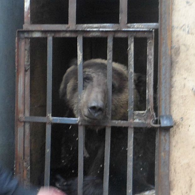 Обо всем