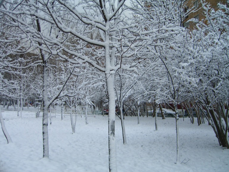 ЗИМА ПРИШЛА В МОСКВУ!!!!!!