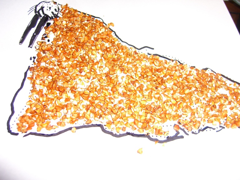 АРКТИКА И АНТАРКТИКА!! ДЕНЬ1