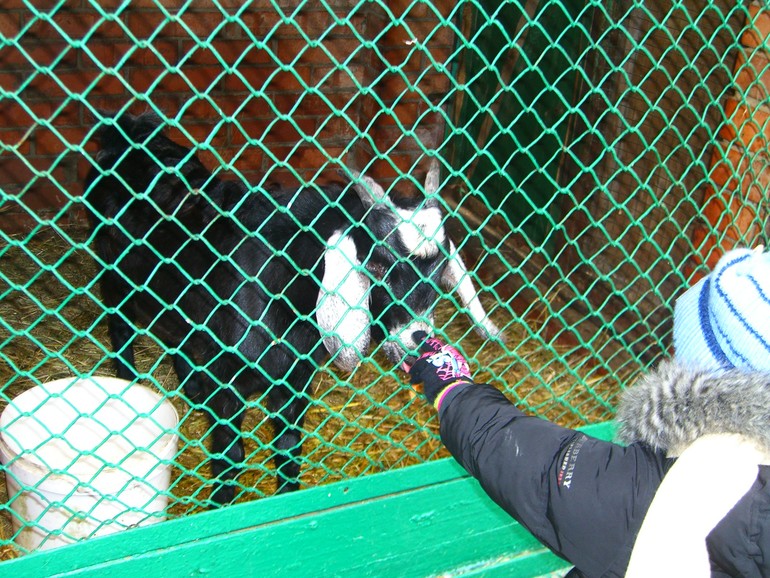 Наши выходные!!!!!!