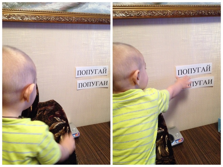 ТН Домашние животные. День 3 - попугай.