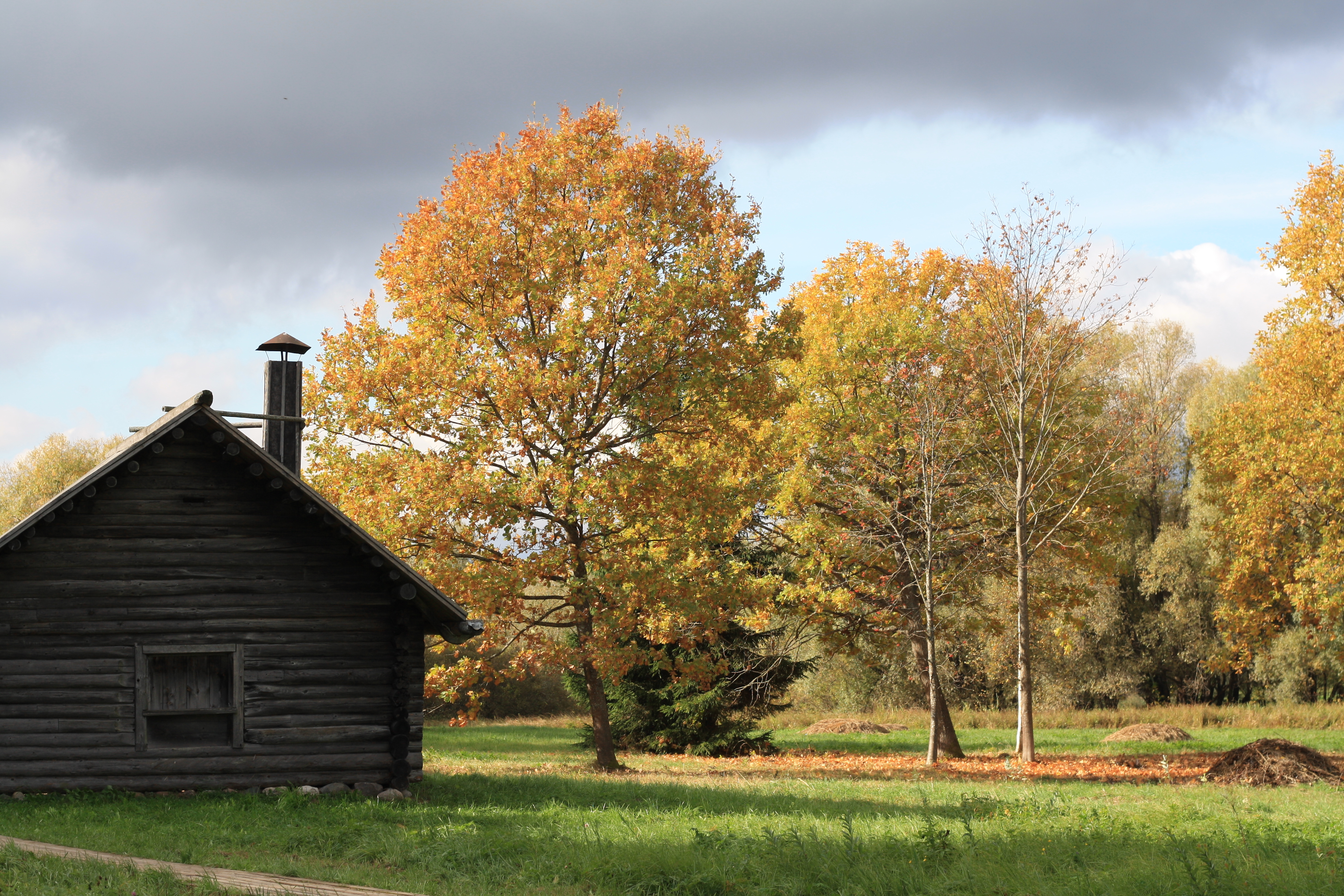 немного фото о лете и ранней осени.