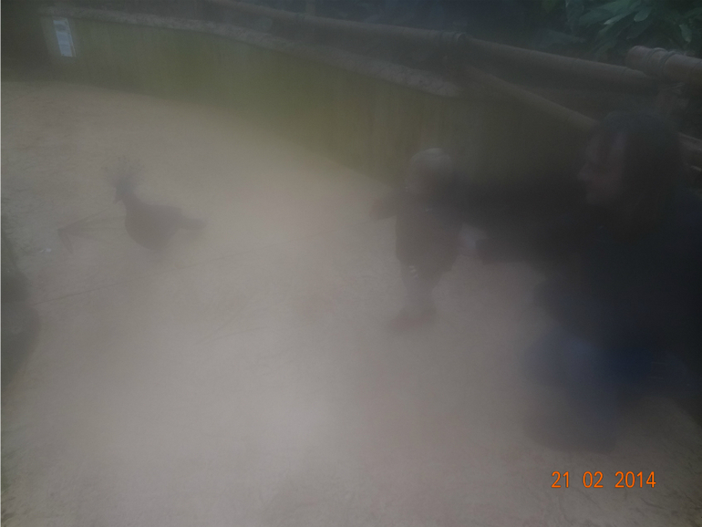 Наше путешествие (ОГРОМНЕЙШИЙ ПОСТИЩЕ)