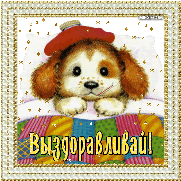 b3c1d9395c9ba28da19053e76965b621.gif