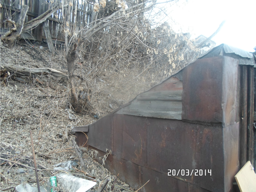 Что посадить под кленом?