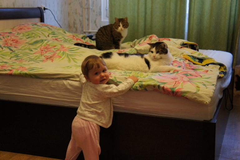 Кошки и ребенок