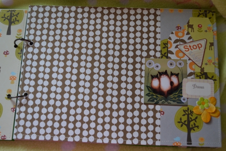 Кошкин дом- альбом для девочки