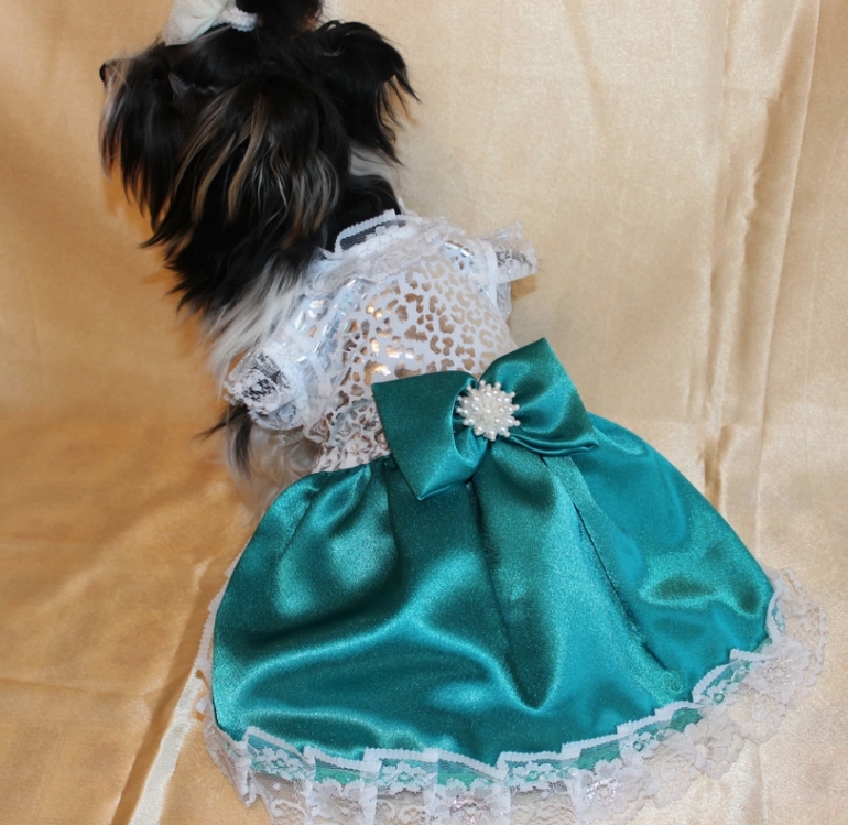 У нас была фотосессия