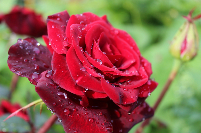 После дождичка))