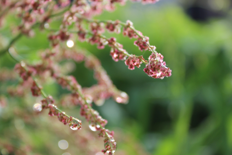 После дождичка))