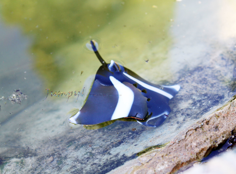 Морские животные от Schleich.