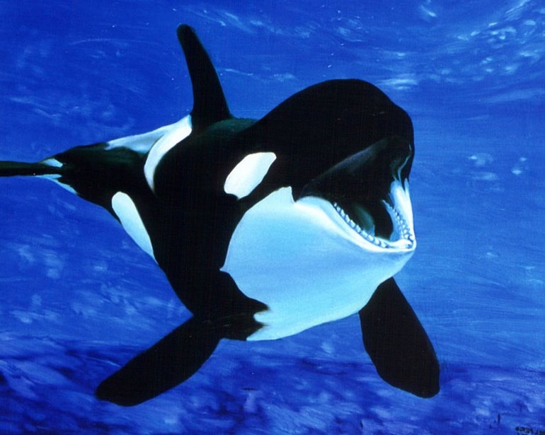 Морские животные от Schleich.